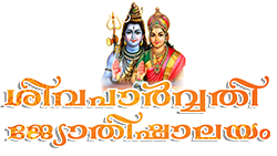 best astrologer in thrissur
